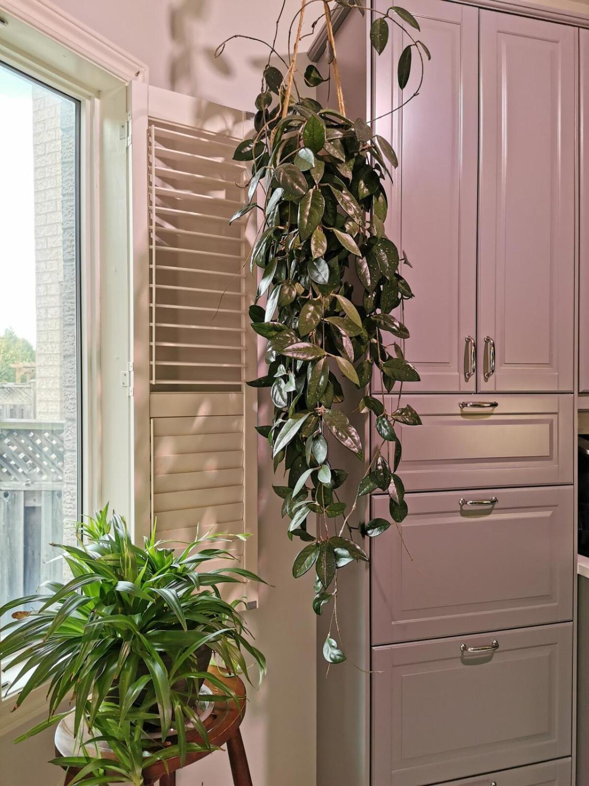 4 Bedroom 3 Washroom Charming Home In Markham With Warm Cozy Vibe Extérieur photo